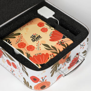 Amazon-Elegant-7