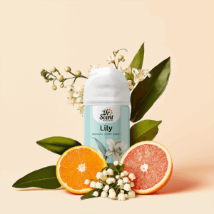 Lily-2a.png